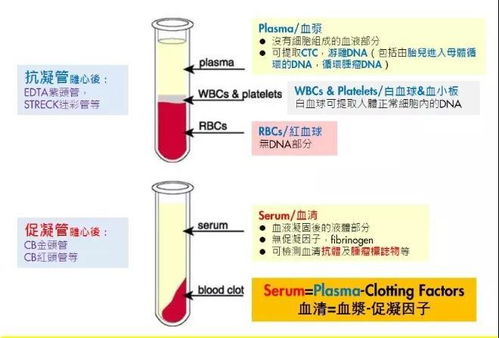 香港验血卓信化验所合法吗(香港四大权威化验所是哪四家 ) 