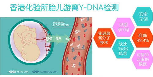 香港验血了还需要b超的简单介绍(香港验血准还是B超准 ) 