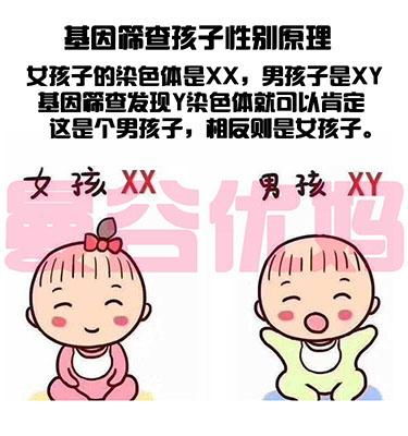 试管婴儿香港验血的准确性(你真的相信世上有生男生女的偏 