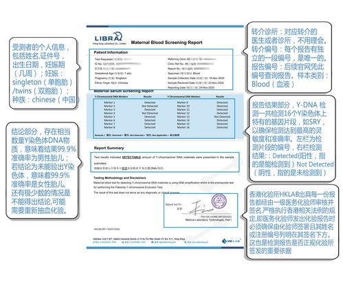 香港化验所验血报告查询网站官网(香港环球化验所报告单能)