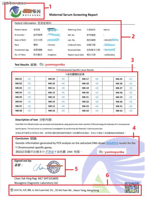 香港乐时验血报告单(香港乐时生物科技验男女报告怎么看) 