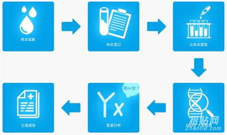 香港验血联系方式电话号码(香港现代医学专科验血鉴定y染色