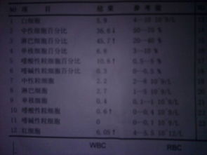 如何看懂香港母清验血报告(如何看怀孕验血报告) 