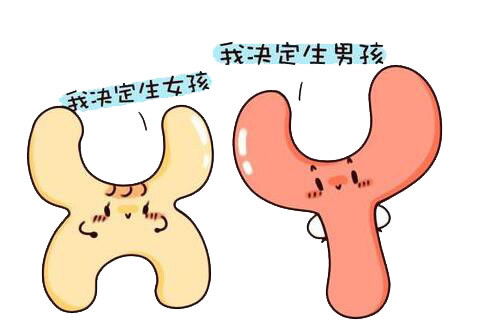 香港验血多久结果出来(预约香港医院验血要等很长时间吗 ) 